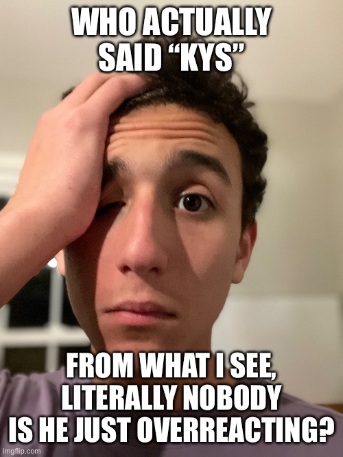 WHO ACTUALLY SAID “KYS”; FROM WHAT I SEE, LITERALLY NOBODY
IS HE JUST OVERREACTING? | made w/ Imgflip meme maker