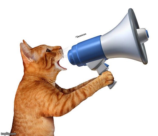 Cat With megaphone | *Sexoooo | image tagged in cat with megaphone | made w/ Imgflip meme maker