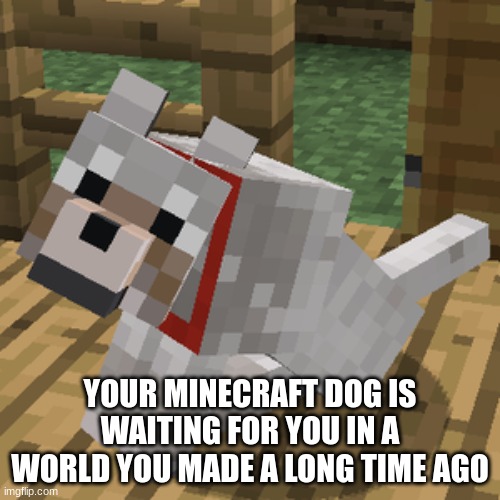 Try not to cry | YOUR MINECRAFT DOG IS WAITING FOR YOU IN A WORLD YOU MADE A LONG TIME AGO | image tagged in minecraft wolf,cry,minecraft | made w/ Imgflip meme maker