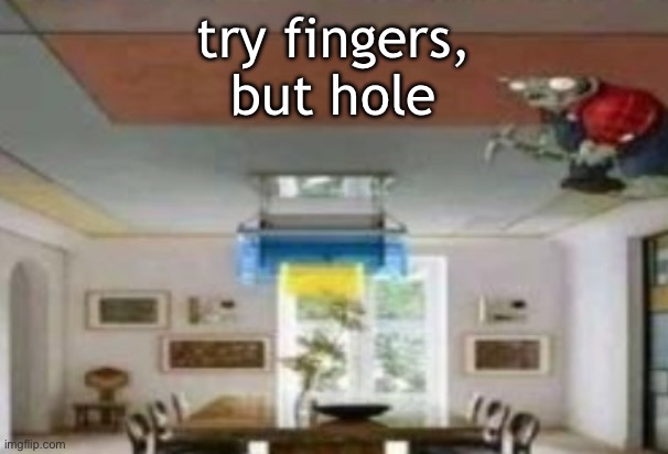 in the ceiling | try fingers,
but hole | image tagged in in the ceiling | made w/ Imgflip meme maker