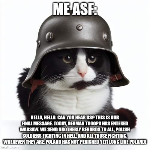 Copypasta | ME ASF:; HELLO, HELLO. CAN YOU HEAR US? THIS IS OUR FINAL MESSAGE. TODAY, GERMAN TROOPS HAS ENTERED WARSAW. WE SEND BROTHERLY REGARDS TO ALL, POLISH SOLDIERS FIGHTING IN HELL. AND ALL THOSE FIGHTING, WHEREVER THEY ARE, POLAND HAS NOT PERISHED YET! LONG LIVE POLAND! | image tagged in kaiser_floppa_the_1st silly post | made w/ Imgflip meme maker