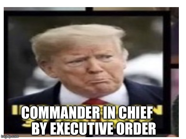 Cic | COMMANDER IN CHIEF      BY EXECUTIVE ORDER | image tagged in cic | made w/ Imgflip meme maker