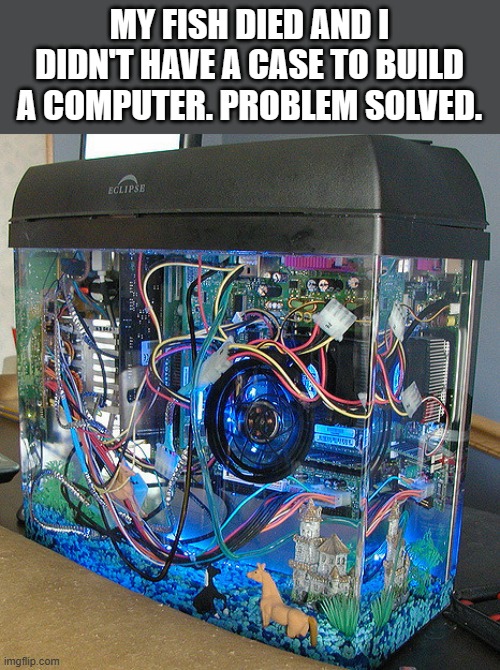meme by Brad I built my own computer humor | MY FISH DIED AND I DIDN'T HAVE A CASE TO BUILD A COMPUTER. PROBLEM SOLVED. | image tagged in gaming,funny,pc gaming,video games,computer games,computer | made w/ Imgflip meme maker