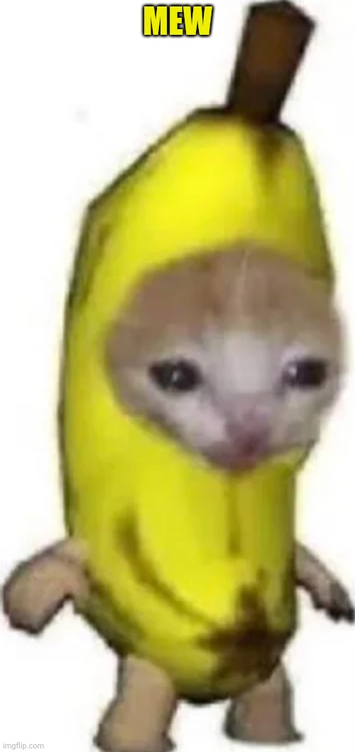 Banana cat | MEW | image tagged in banana cat | made w/ Imgflip meme maker