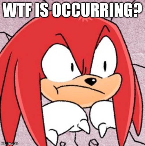 Knuckles saw your search history | WTF IS OCCURRING? | image tagged in knuckles saw your search history | made w/ Imgflip meme maker