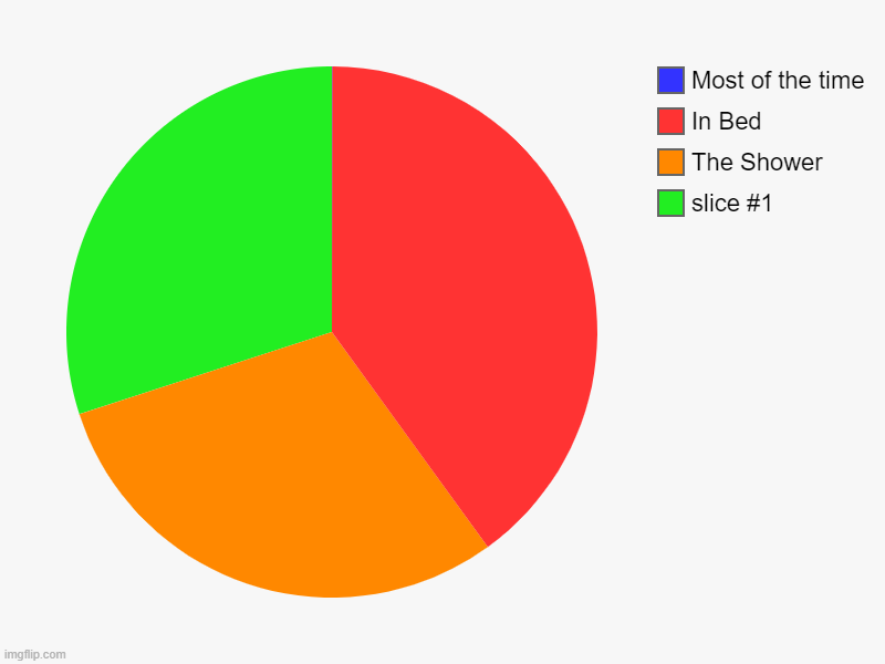 Relatable | , The Shower, In Bed, Most of the time | image tagged in charts,pie charts,relatable,shower | made w/ Imgflip chart maker