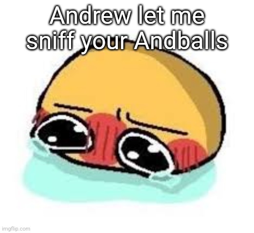 amb shamb bbbmba | Andrew let me sniff your Andballs | image tagged in amb shamb bbbmba | made w/ Imgflip meme maker