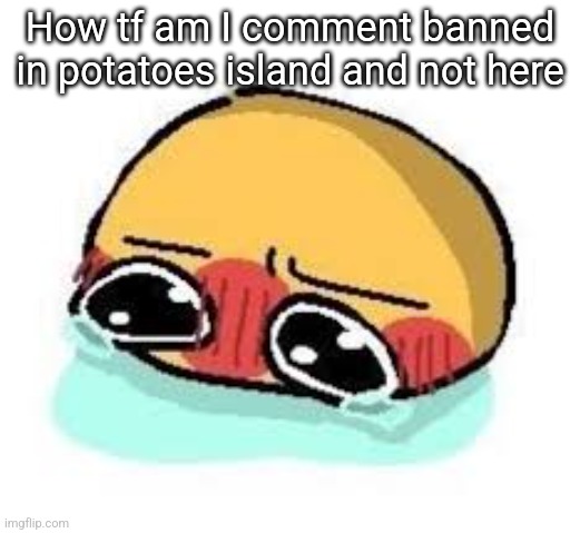 amb shamb bbbmba | How tf am I comment banned in potatoes island and not here | image tagged in amb shamb bbbmba | made w/ Imgflip meme maker