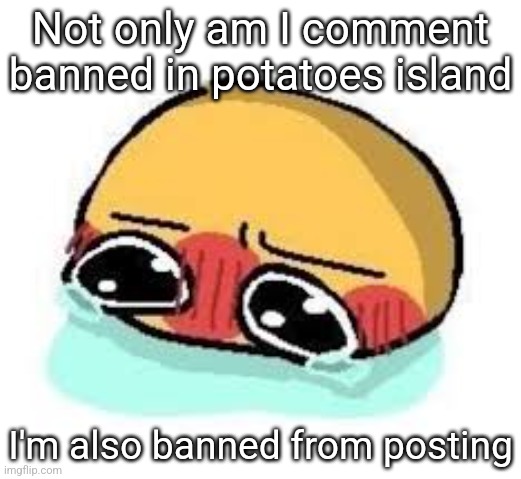 I don't even go there wtf | Not only am I comment banned in potatoes island; I'm also banned from posting | image tagged in amb shamb bbbmba | made w/ Imgflip meme maker