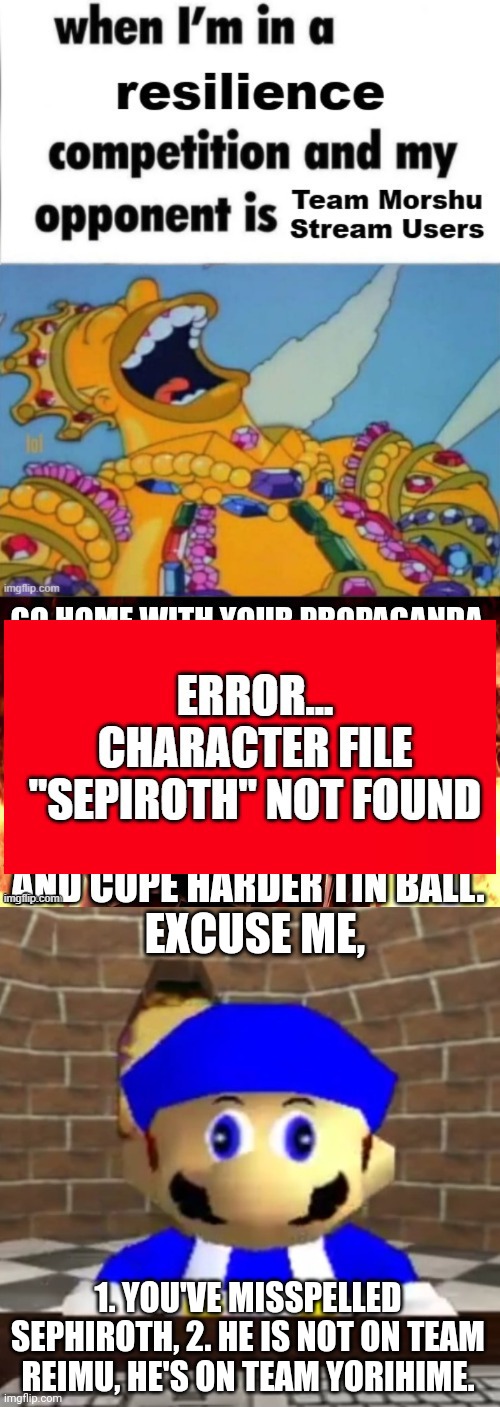 Smg4 told you | EXCUSE ME, 1. YOU'VE MISSPELLED SEPHIROTH, 2. HE IS NOT ON TEAM REIMU, HE'S ON TEAM YORIHIME. | image tagged in smg4 derp | made w/ Imgflip meme maker