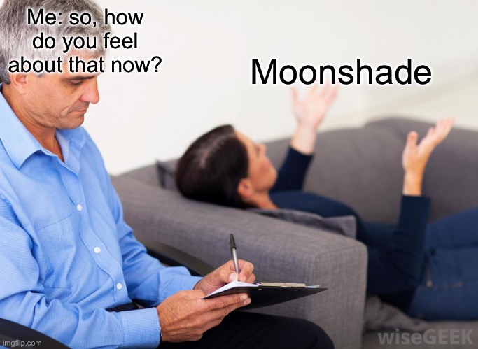 Therapist, notes | Me: so, how do you feel about that now? Moonshade | image tagged in therapist notes | made w/ Imgflip meme maker