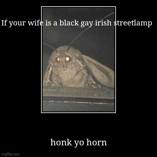 If your wife is a black gay irish streetlamp | honk yo horn | image tagged in funny,demotivationals | made w/ Imgflip demotivational maker