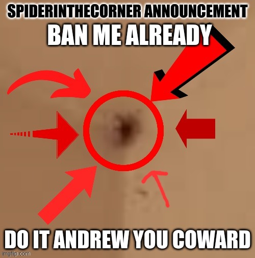 spiderinthecorner announcement | BAN ME ALREADY; DO IT ANDREW YOU COWARD | image tagged in spiderinthecorner announcement | made w/ Imgflip meme maker