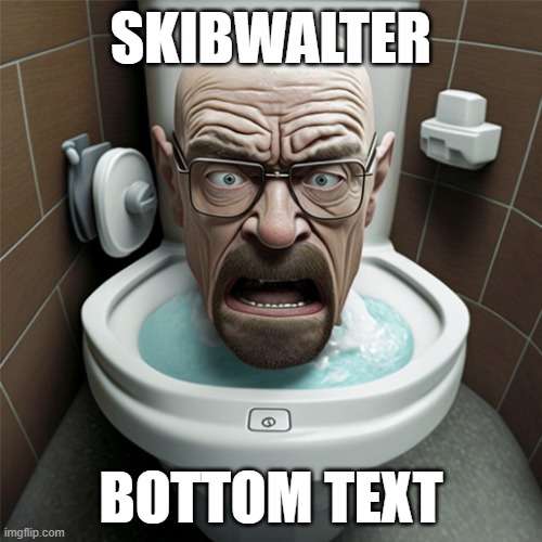 For both 9 year old and adults | SKIBWALTER; BOTTOM TEXT | image tagged in breaking bad | made w/ Imgflip meme maker