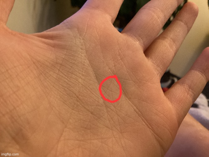 I have an X on my palm, which apparently only 3% of the population has | made w/ Imgflip meme maker