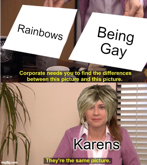 They're The Same Picture Meme | Rainbows; Being Gay; Karens | image tagged in memes,they're the same picture | made w/ Imgflip meme maker