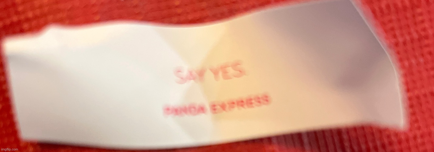 Say yes | image tagged in say yes | made w/ Imgflip meme maker