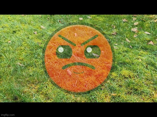 rock on the ground | made w/ Imgflip meme maker