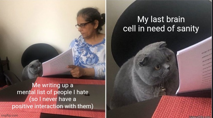 Sigh | My last brain cell in need of sanity; Me writing up a mental list of people I hate (so I never have a positive interaction with them) | image tagged in then why did you write | made w/ Imgflip meme maker