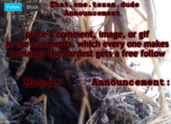 THE that.one.texan.dude announcement template | place a comment, image, or gif in the comments. which every one makes me laugh the hardest gets a free follow | image tagged in the that one texan dude announcement template | made w/ Imgflip meme maker