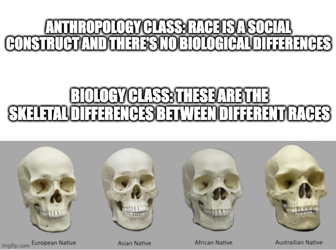 ANTHROPOLOGY CLASS: RACE IS A SOCIAL CONSTRUCT AND THERE'S NO BIOLOGICAL DIFFERENCES; BIOLOGY CLASS: THESE ARE THE SKELETAL DIFFERENCES BETWEEN DIFFERENT RACES | image tagged in blank white template | made w/ Imgflip meme maker