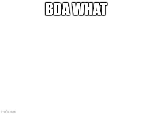 BDA WHAT | made w/ Imgflip meme maker