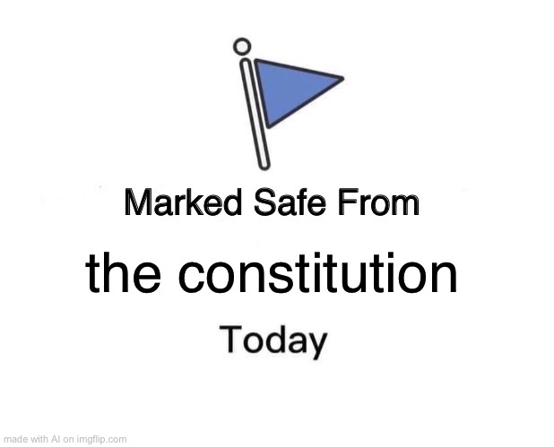 Wut | the constitution | image tagged in memes,marked safe from | made w/ Imgflip meme maker