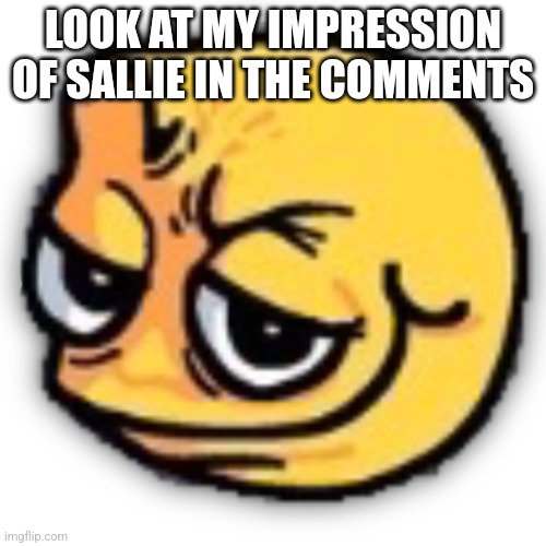 anus shit | LOOK AT MY IMPRESSION OF SALLIE IN THE COMMENTS | image tagged in anus shit | made w/ Imgflip meme maker