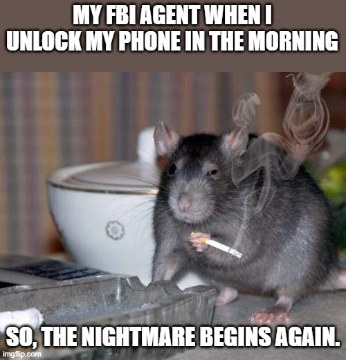 LOL!! | MY FBI AGENT WHEN I UNLOCK MY PHONE IN THE MORNING; SO, THE NIGHTMARE BEGINS AGAIN. | image tagged in smoking rat,fbi,democrats,surveillance,morning | made w/ Imgflip meme maker