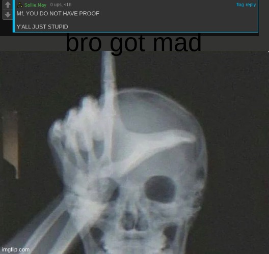 Take the L on a X-Ray | bro got mad | image tagged in take the l on a x-ray | made w/ Imgflip meme maker