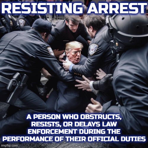 RESISTING ARREST | RESISTING ARREST; A PERSON WHO OBSTRUCTS, RESISTS, OR DELAYS LAW ENFORCEMENT DURING THE PERFORMANCE OF THEIR OFFICIAL DUTIES | image tagged in resisting arrest,obstruct,delay,hinder,prevent,refusing | made w/ Imgflip meme maker