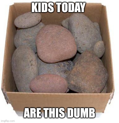 Box of Rocks | KIDS TODAY ARE THIS DUMB | image tagged in box of rocks | made w/ Imgflip meme maker