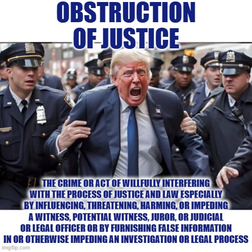 OBSTRUCTION OF JUSTICE | OBSTRUCTION OF JUSTICE; THE CRIME OR ACT OF WILLFULLY INTERFERING WITH THE PROCESS OF JUSTICE AND LAW ESPECIALLY BY INFLUENCING, THREATENING, HARMING, OR IMPEDING A WITNESS, POTENTIAL WITNESS, JUROR, OR JUDICIAL OR LEGAL OFFICER OR BY FURNISHING FALSE INFORMATION IN OR OTHERWISE IMPEDING AN INVESTIGATION OR LEGAL PROCESS | image tagged in obstruction of justice,interfering,influencing,threatening,harming,impeding | made w/ Imgflip meme maker