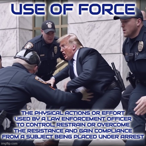 USE OF FORCE | USE OF FORCE; THE PHYSICAL ACTIONS OR EFFORT USED BY A LAW ENFORCEMENT OFFICER TO CONTROL, RESTRAIN OR OVERCOME THE RESISTANCE AND GAIN COMPLIANCE FROM A SUBJECT BEING PLACED UNDER ARREST | image tagged in use of force,compliance,control,restrain,unwilling subject,arrest | made w/ Imgflip meme maker
