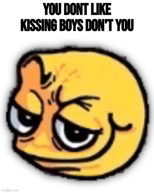 Stupid Low quality meme | YOU DONT LIKE KISSING BOYS DON'T YOU | image tagged in anus shit | made w/ Imgflip meme maker