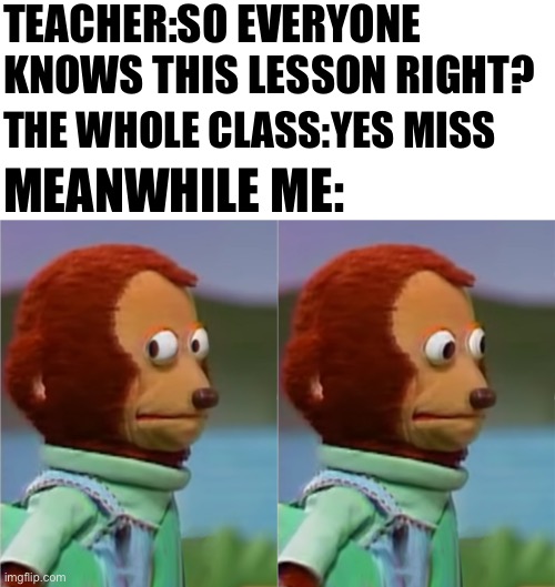 Awkward look | TEACHER:SO EVERYONE KNOWS THIS LESSON RIGHT? THE WHOLE CLASS:YES MISS; MEANWHILE ME: | image tagged in awkward look | made w/ Imgflip meme maker