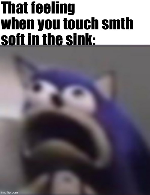 distress | That feeling when you touch smth soft in the sink: | image tagged in distress | made w/ Imgflip meme maker