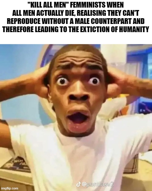 Shocked black guy | ''KILL ALL MEN'' FEMMINISTS WHEN ALL MEN ACTUALLY DIE, REALISING THEY CAN'T REPRODUCE WITHOUT A MALE COUNTERPART AND THEREFORE LEADING TO THE EXTICTION OF HUMANITY | image tagged in shocked black guy | made w/ Imgflip meme maker