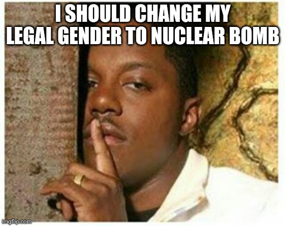 Shhh | I SHOULD CHANGE MY LEGAL GENDER TO NUCLEAR BOMB | image tagged in shhh | made w/ Imgflip meme maker