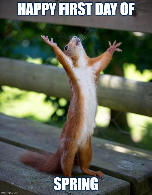 Thank you Jesus squirrel | HAPPY FIRST DAY OF; SPRING | image tagged in squirrel | made w/ Imgflip meme maker