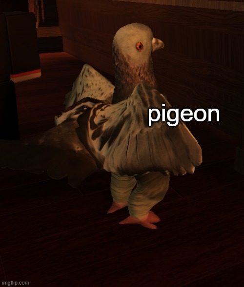 pigeon | pigeon | made w/ Imgflip meme maker