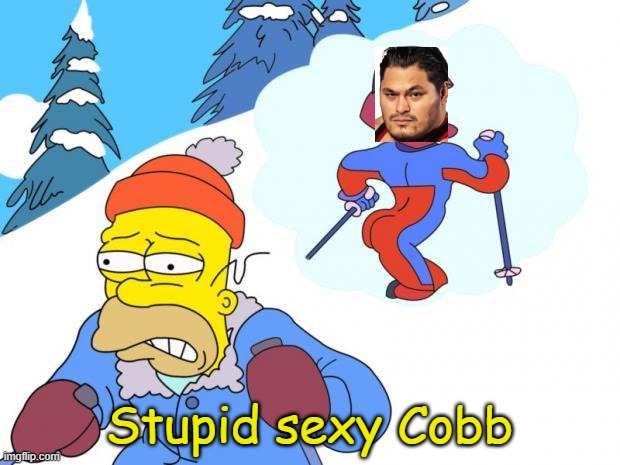 Stupid sexy Flanders | Stupid sexy Cobb | image tagged in stupid sexy flanders | made w/ Imgflip meme maker