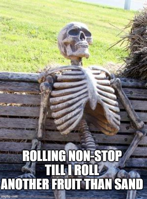 i roll in first sea tho im level 2424 | ROLLING NON-STOP TILL I ROLL ANOTHER FRUIT THAN SAND | image tagged in memes,waiting skeleton | made w/ Imgflip meme maker