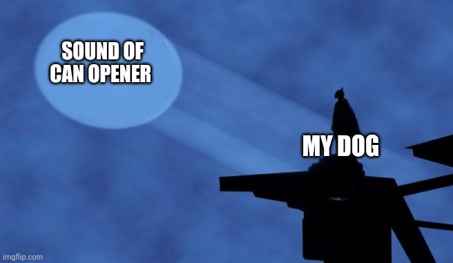 batman signal | SOUND OF CAN OPENER; MY DOG | image tagged in batman signal,dog,food,memes,hungry | made w/ Imgflip meme maker