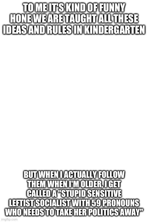 TO ME IT'S KIND OF FUNNY HONE WE ARE TAUGHT ALL THESE IDEAS AND RULES IN KINDERGARTEN; BUT WHEN I ACTUALLY FOLLOW THEM WHEN I'M OLDER, I GET CALLED A "STUPID SENSITIVE LEFTIST SOCIALIST WITH 59 PRONOUNS WHO NEEDS TO TAKE HER POLITICS AWAY" | made w/ Imgflip meme maker