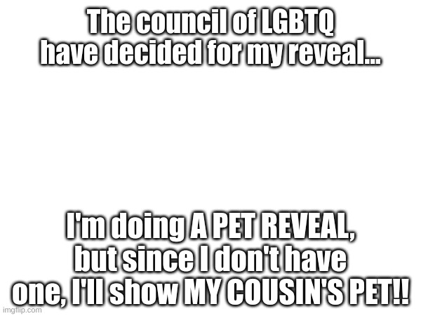YEAH! | The council of LGBTQ have decided for my reveal... I'm doing A PET REVEAL, but since I don't have one, I'll show MY COUSIN'S PET!! | image tagged in memes,fun memes,pets,fresh memes | made w/ Imgflip meme maker