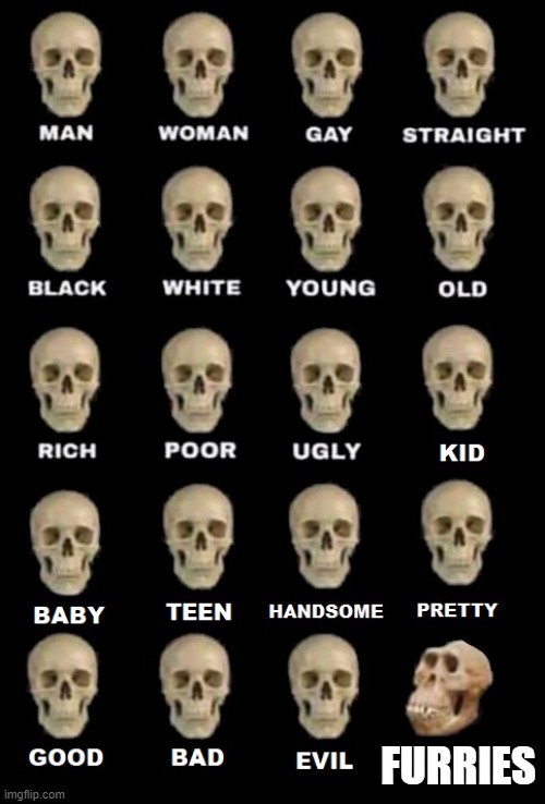 idiot skull extended | FURRIES | image tagged in idiot skull extended | made w/ Imgflip meme maker