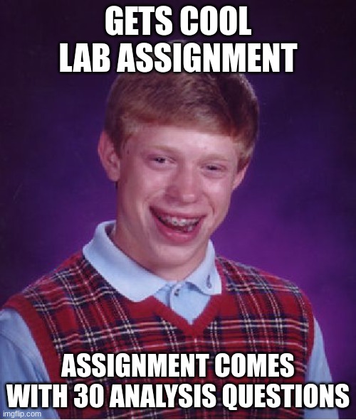 Bad Luck Brian | GETS COOL LAB ASSIGNMENT; ASSIGNMENT COMES WITH 30 ANALYSIS QUESTIONS | image tagged in memes,bad luck brian | made w/ Imgflip meme maker