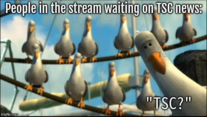 tsc news? | People in the stream waiting on TSC news:; "TSC?" | image tagged in nemo seagulls mine,tsc news | made w/ Imgflip meme maker