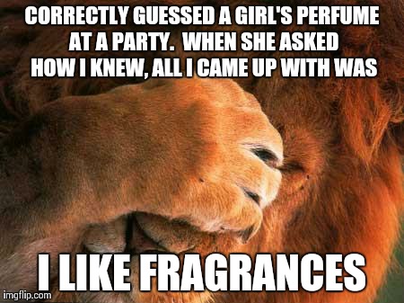 Embarrassed Lion | CORRECTLY GUESSED A GIRL'S PERFUME AT A PARTY.  WHEN SHE ASKED HOW I KNEW, ALL I CAME UP WITH WAS I LIKE FRAGRANCES | image tagged in embarrassed lion,AdviceAnimals | made w/ Imgflip meme maker